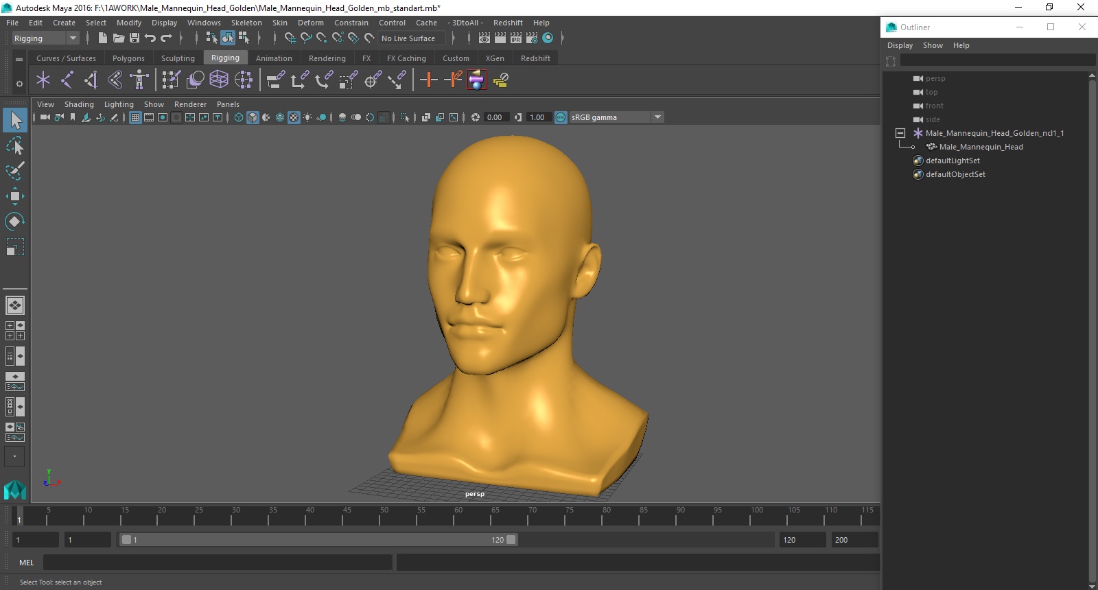 3D Male Mannequin Head Golden
