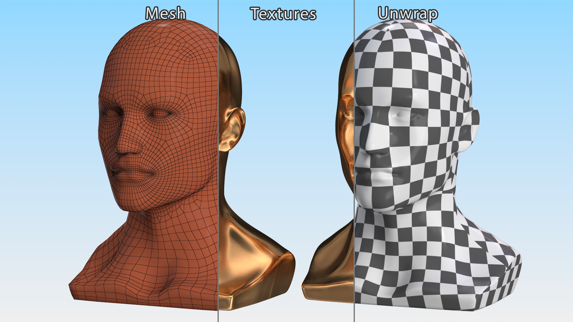 3D Male Mannequin Head Golden