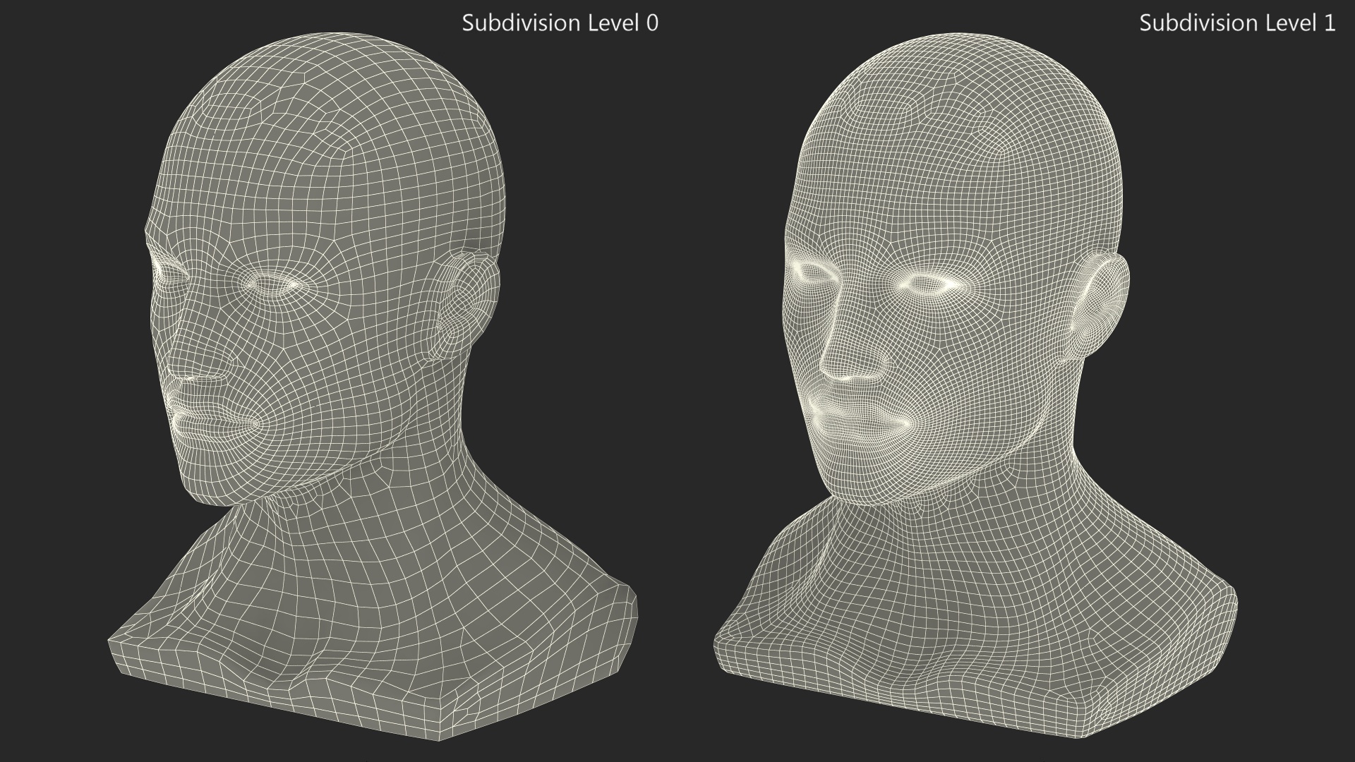 3D Male Mannequin Head Golden