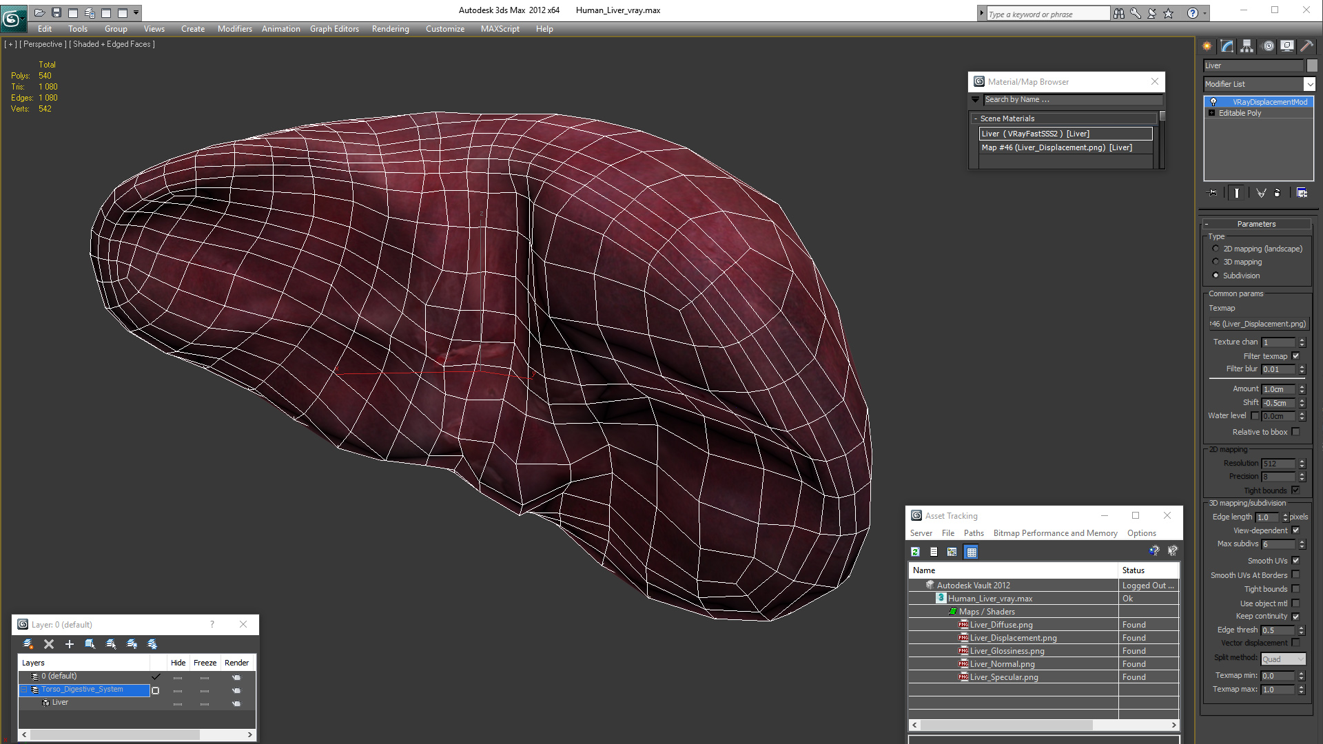 3D Human Liver
