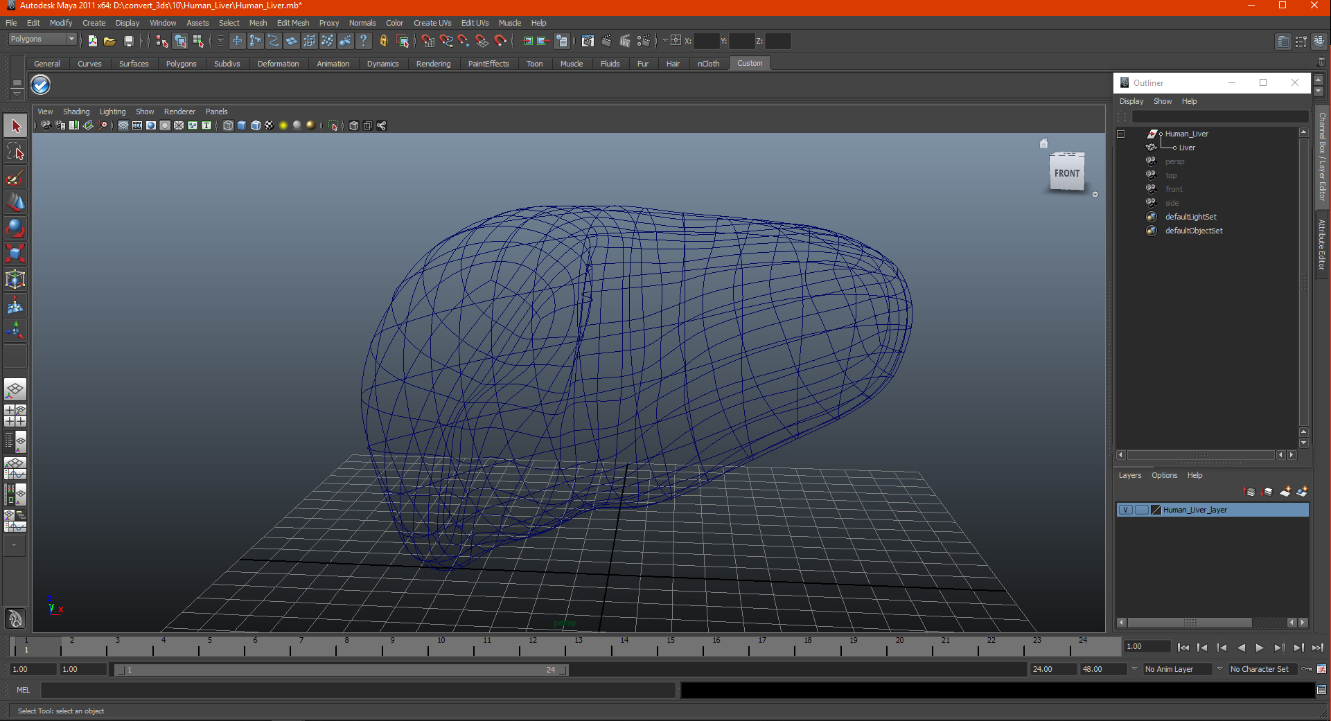 3D Human Liver