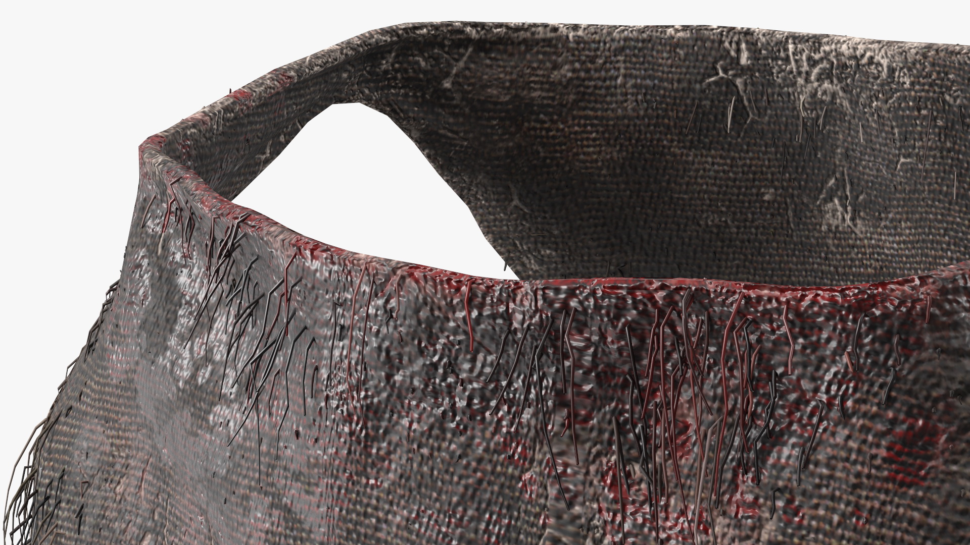 Bloody Rag Loincloth Fur 3D model