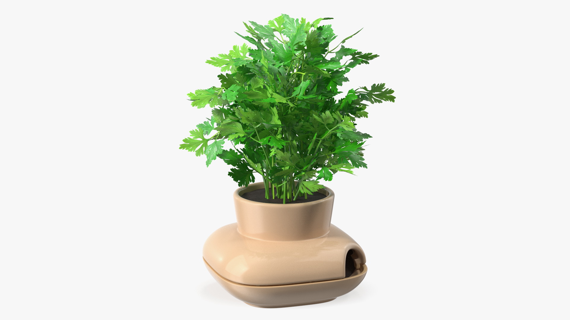 3D Parsley in Single Herb Pot Sagaform Beige
