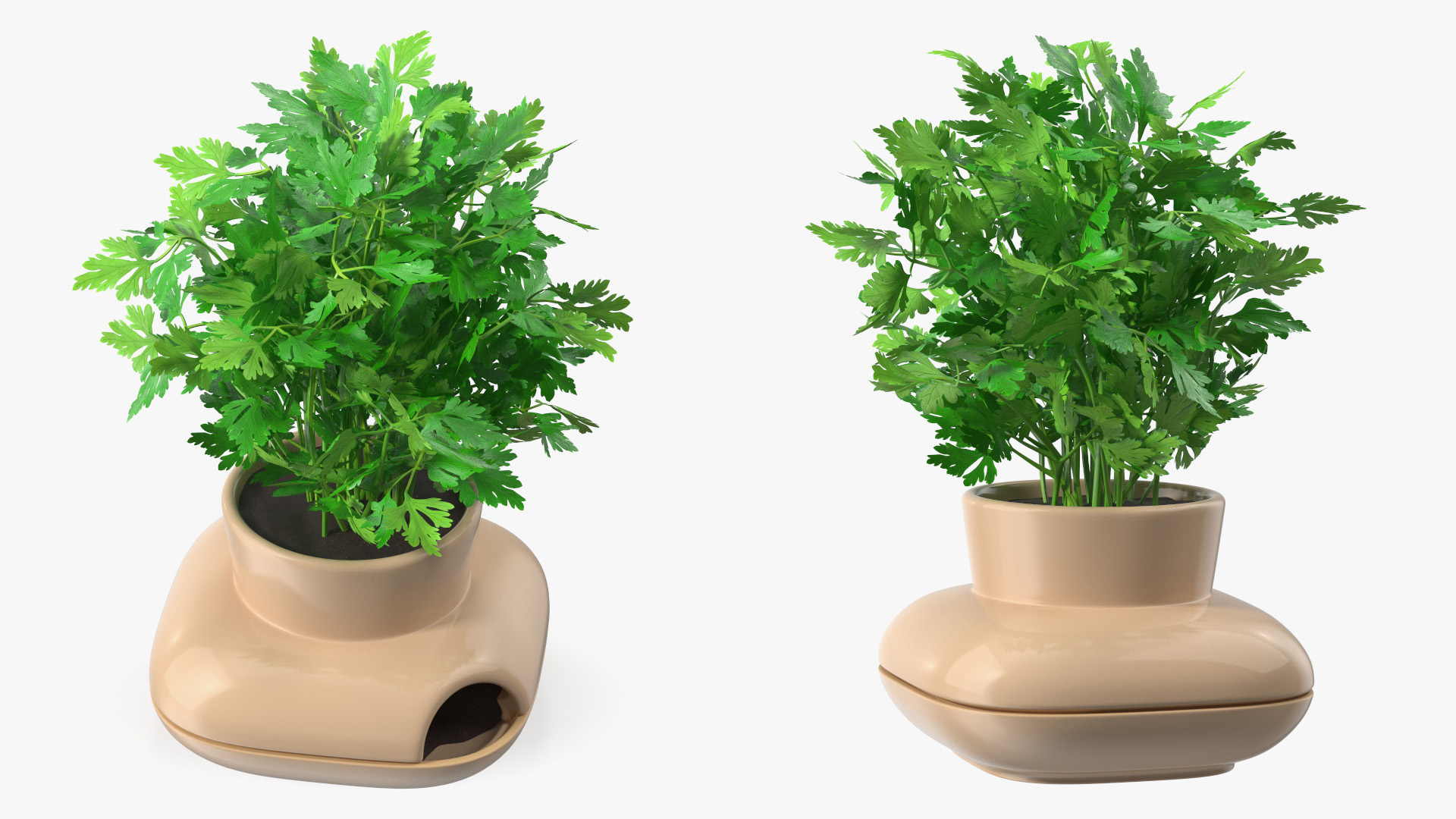 3D Parsley in Single Herb Pot Sagaform Beige