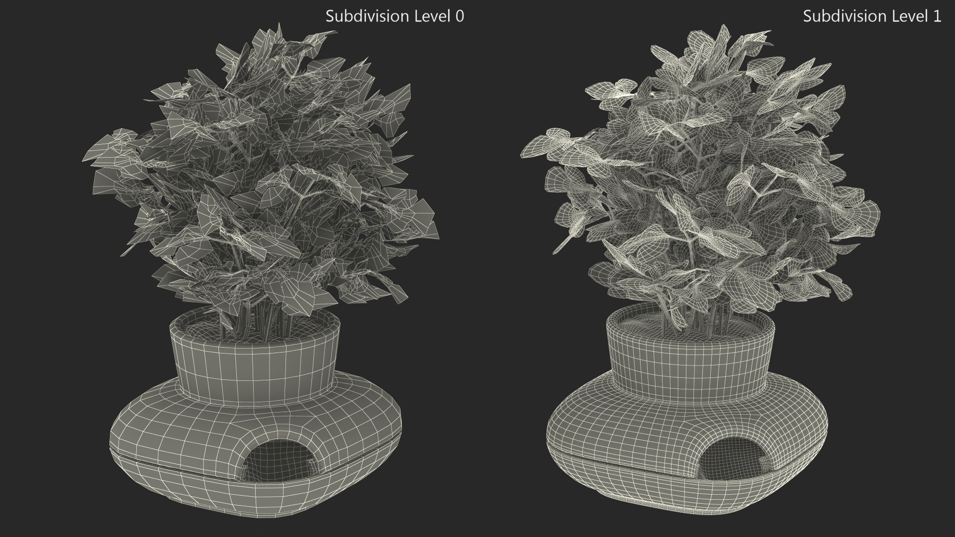 3D Parsley in Single Herb Pot Sagaform Beige