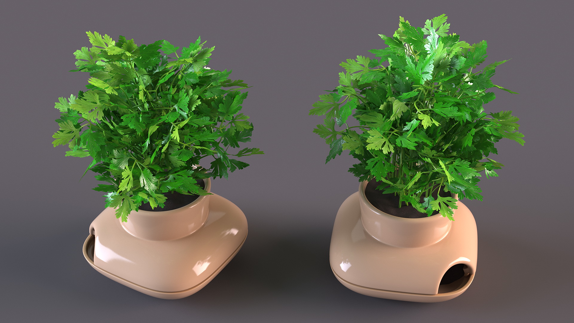 3D Parsley in Single Herb Pot Sagaform Beige
