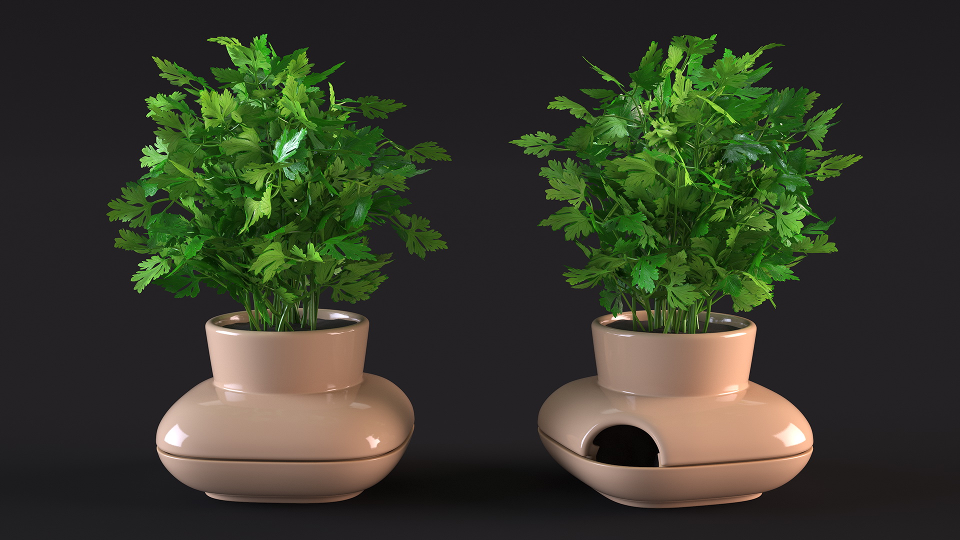 3D Parsley in Single Herb Pot Sagaform Beige