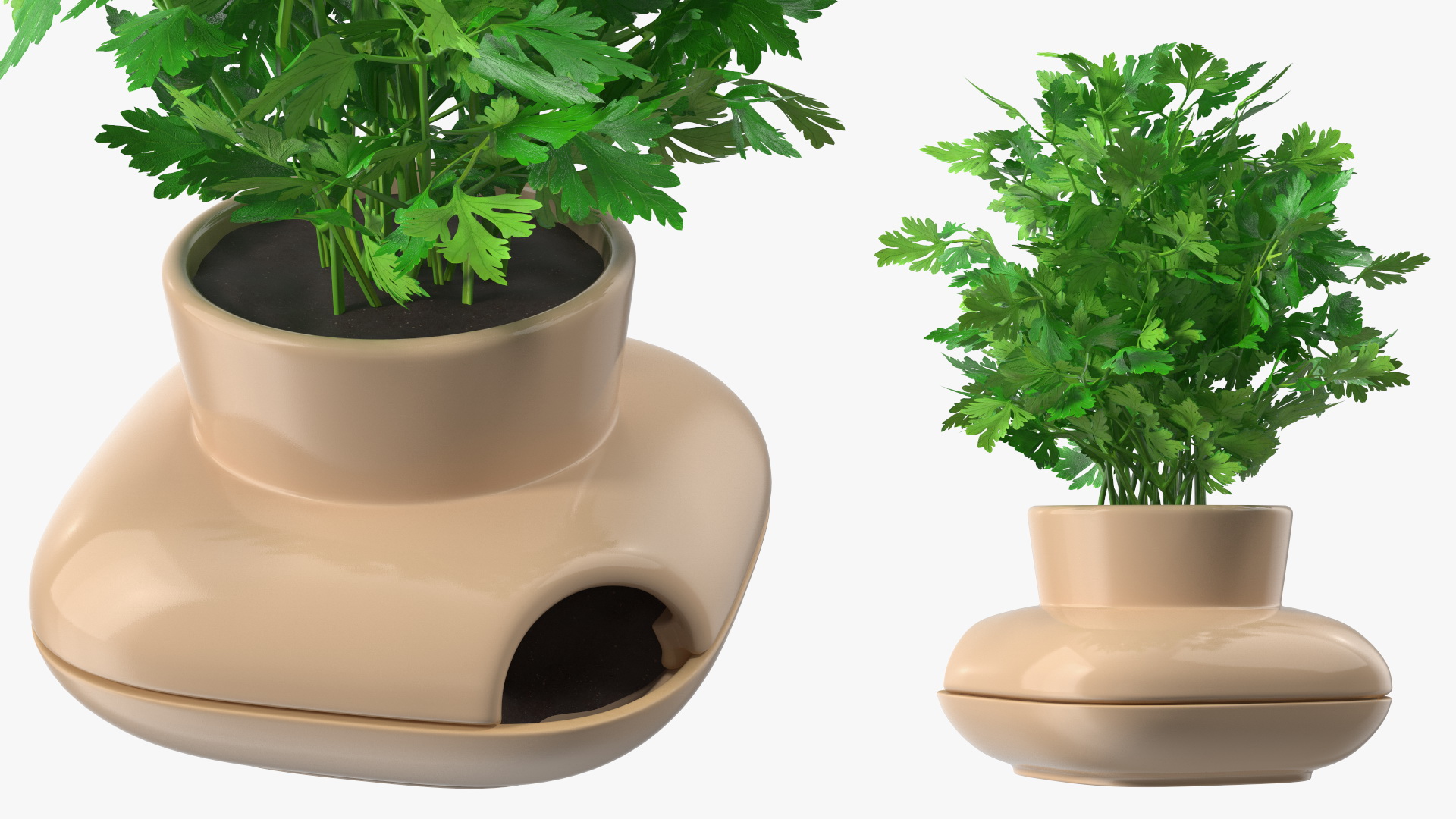 3D Parsley in Single Herb Pot Sagaform Beige