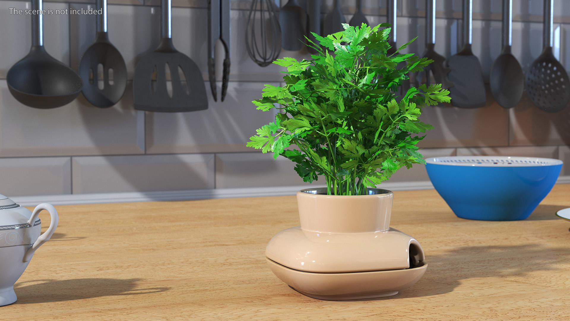 3D Parsley in Single Herb Pot Sagaform Beige