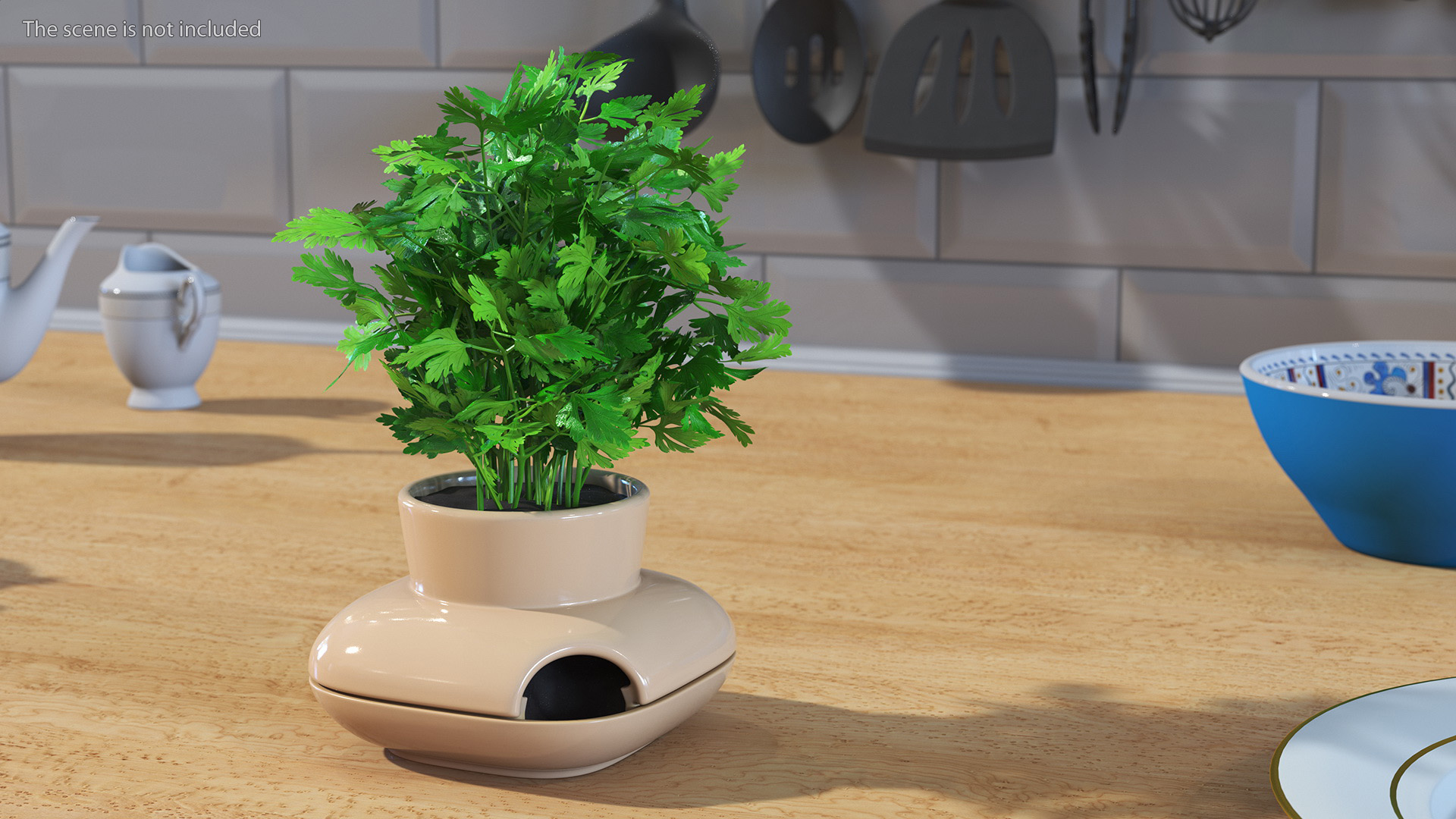 3D Parsley in Single Herb Pot Sagaform Beige