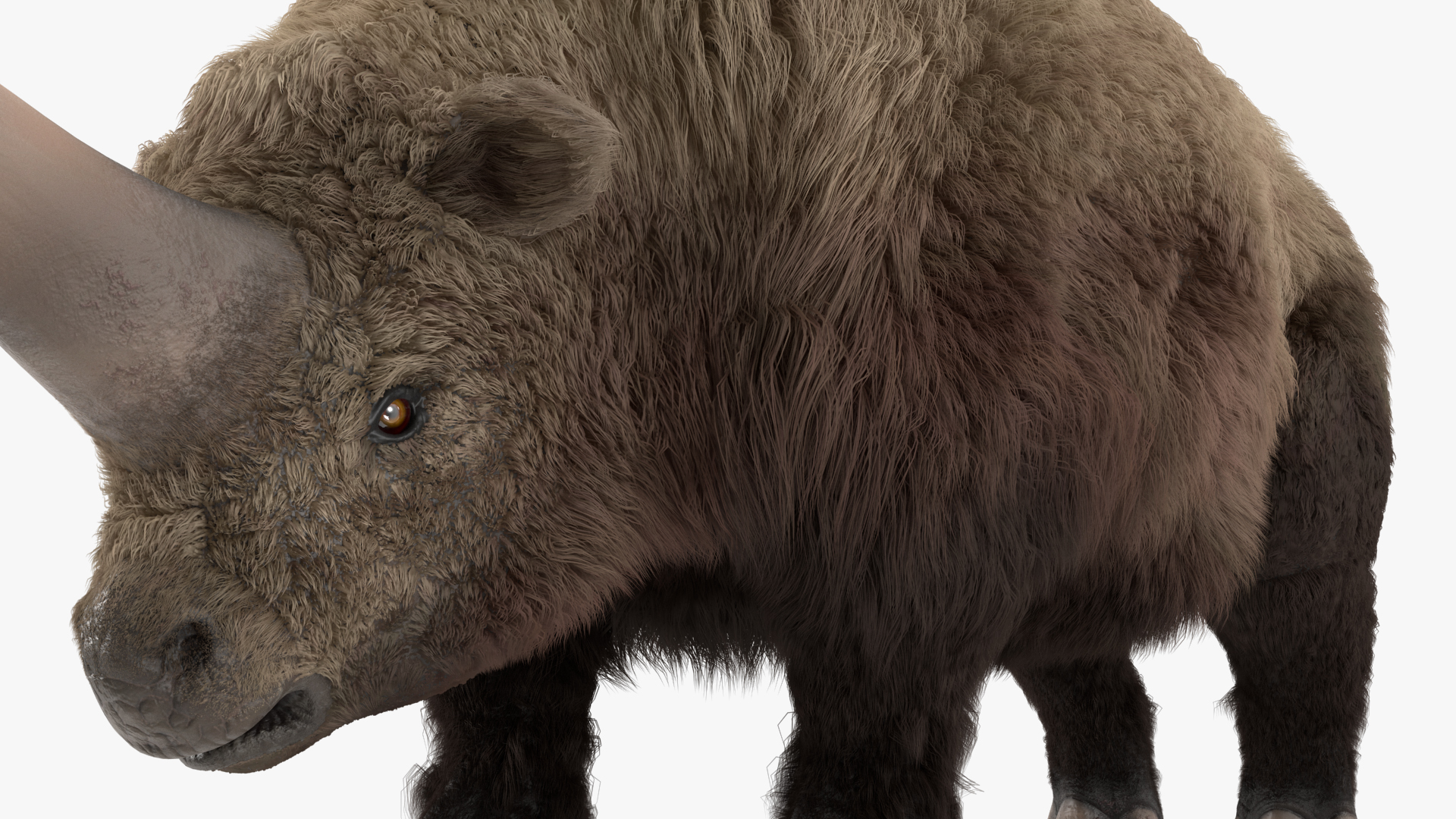 3D Elasmatherium Standing Pose Fur
