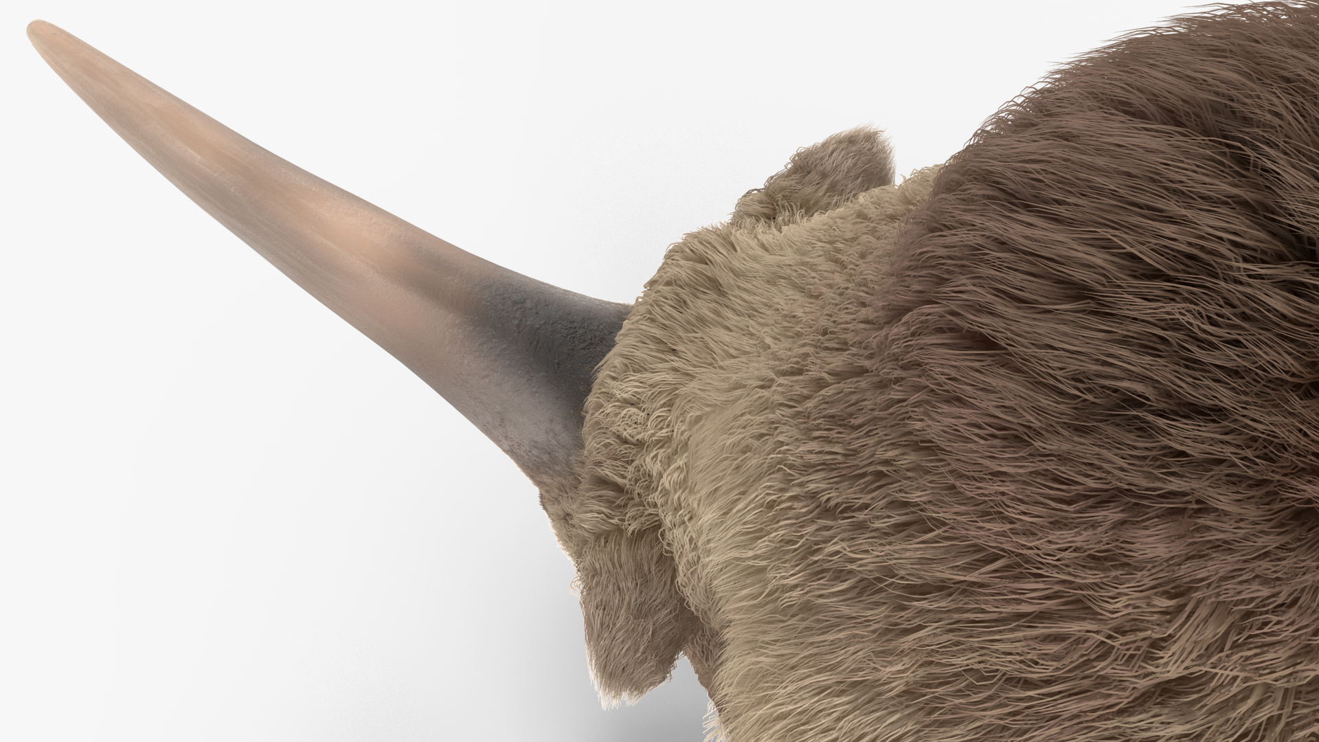 3D Elasmatherium Standing Pose Fur