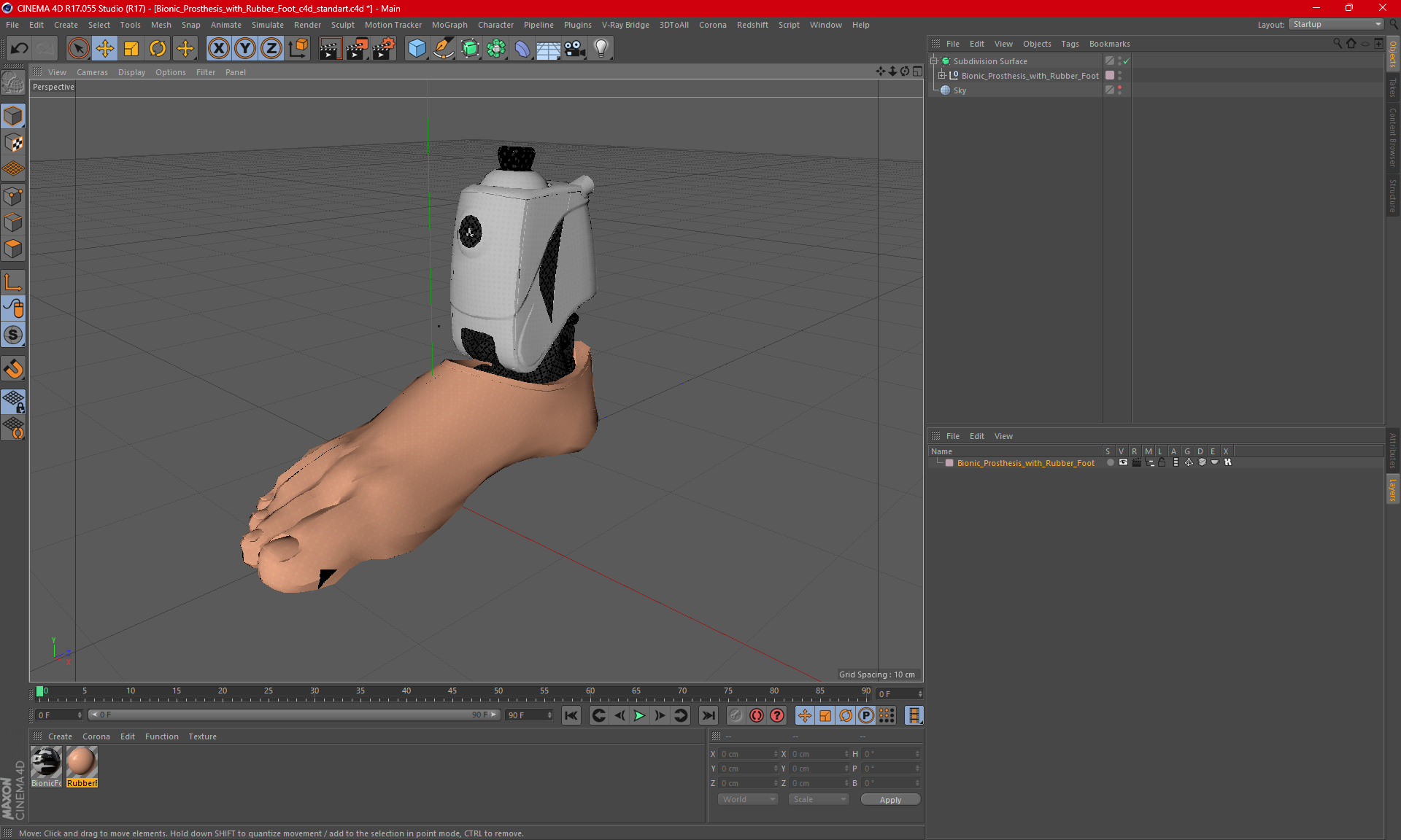 Bionic Prosthesis with Rubber Foot 3D model