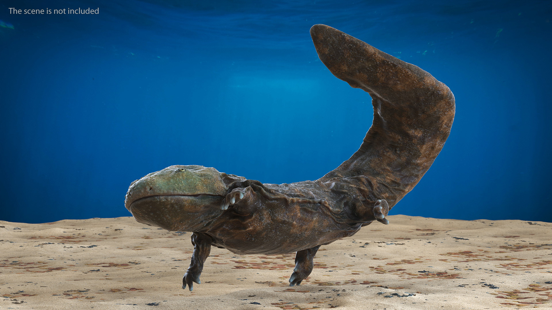 3D Aquatic Giant Salamander Light Wet Swimming model