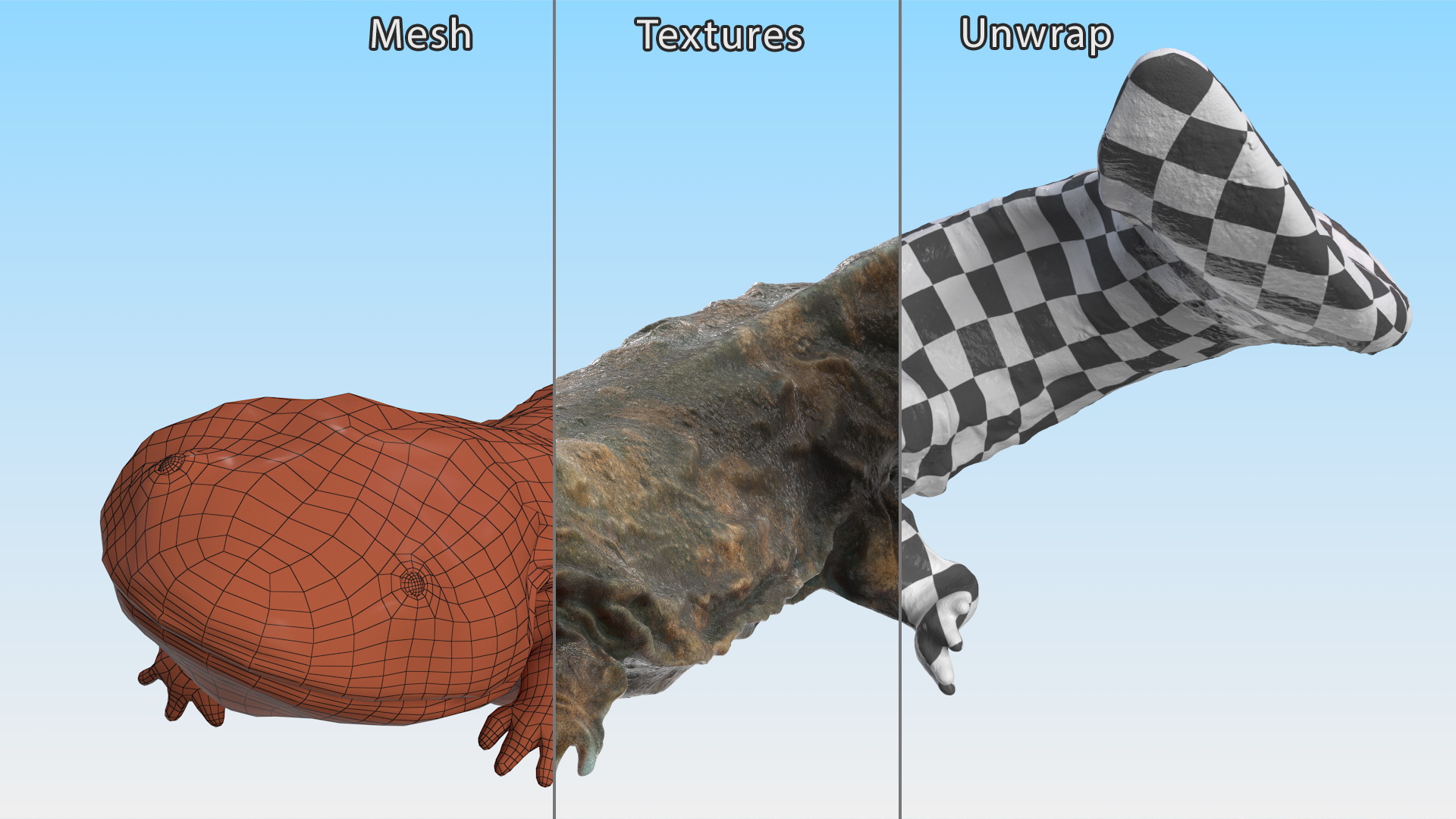 3D Aquatic Giant Salamander Light Wet Swimming model