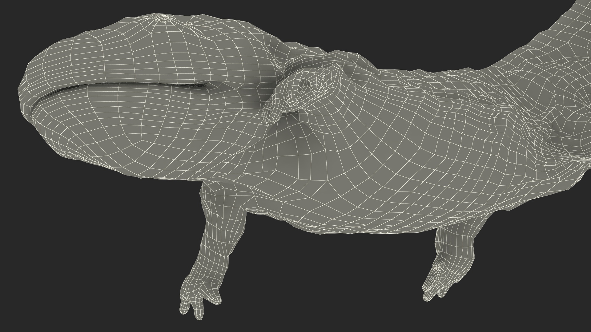 3D Aquatic Giant Salamander Light Wet Swimming model