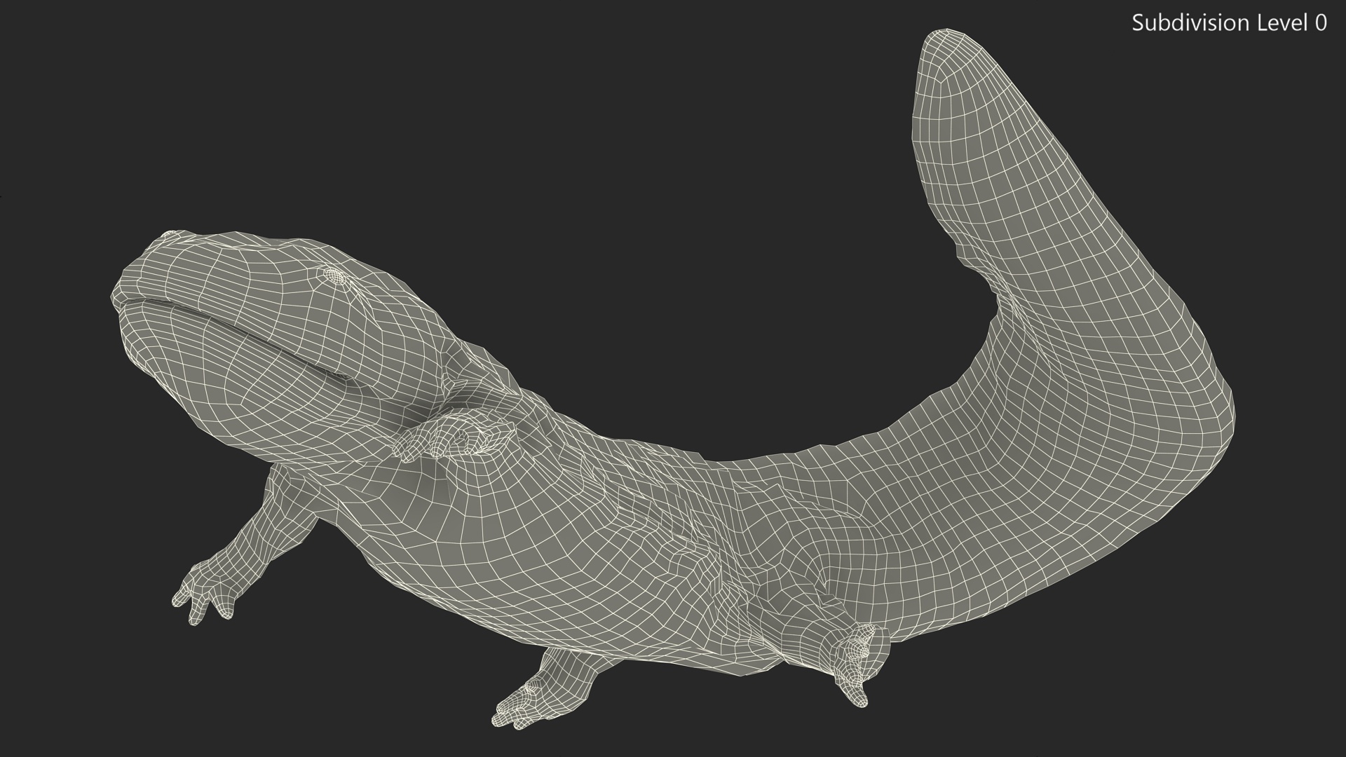 3D Aquatic Giant Salamander Light Wet Swimming model