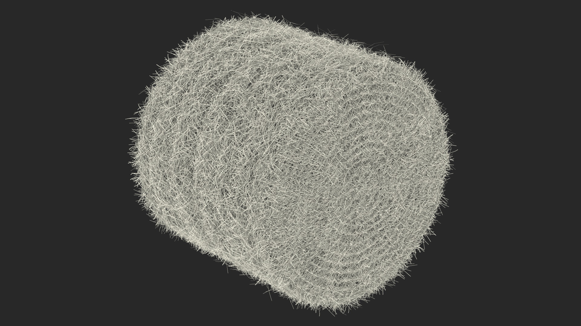 3D Bale Hay Roll model