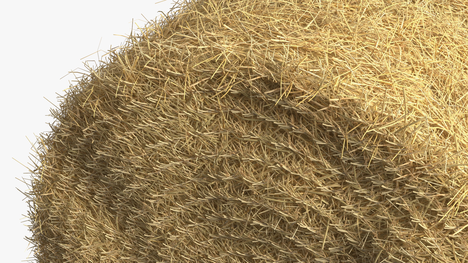 3D Bale Hay Roll model