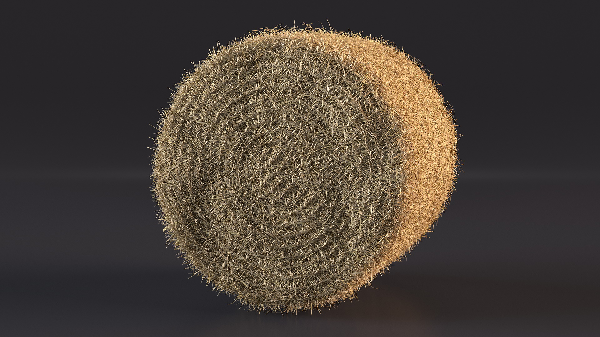3D Bale Hay Roll model