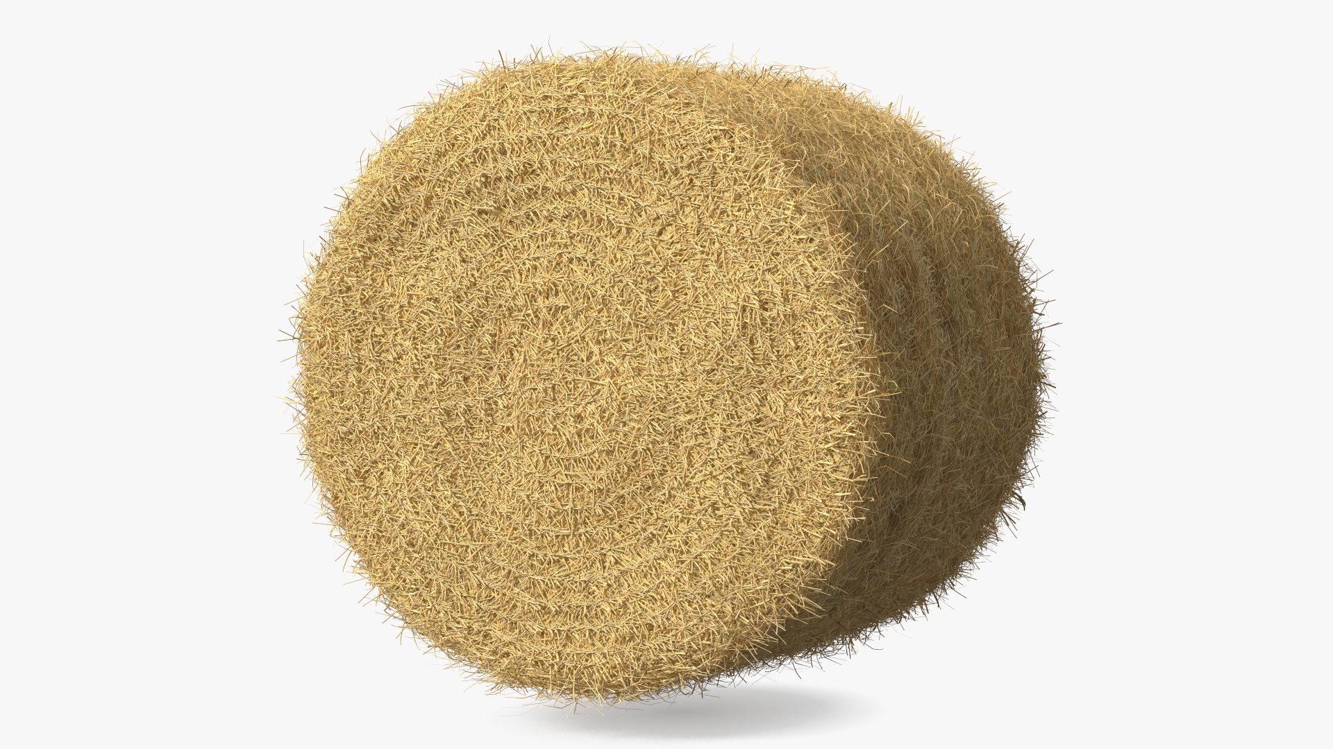 3D Bale Hay Roll model