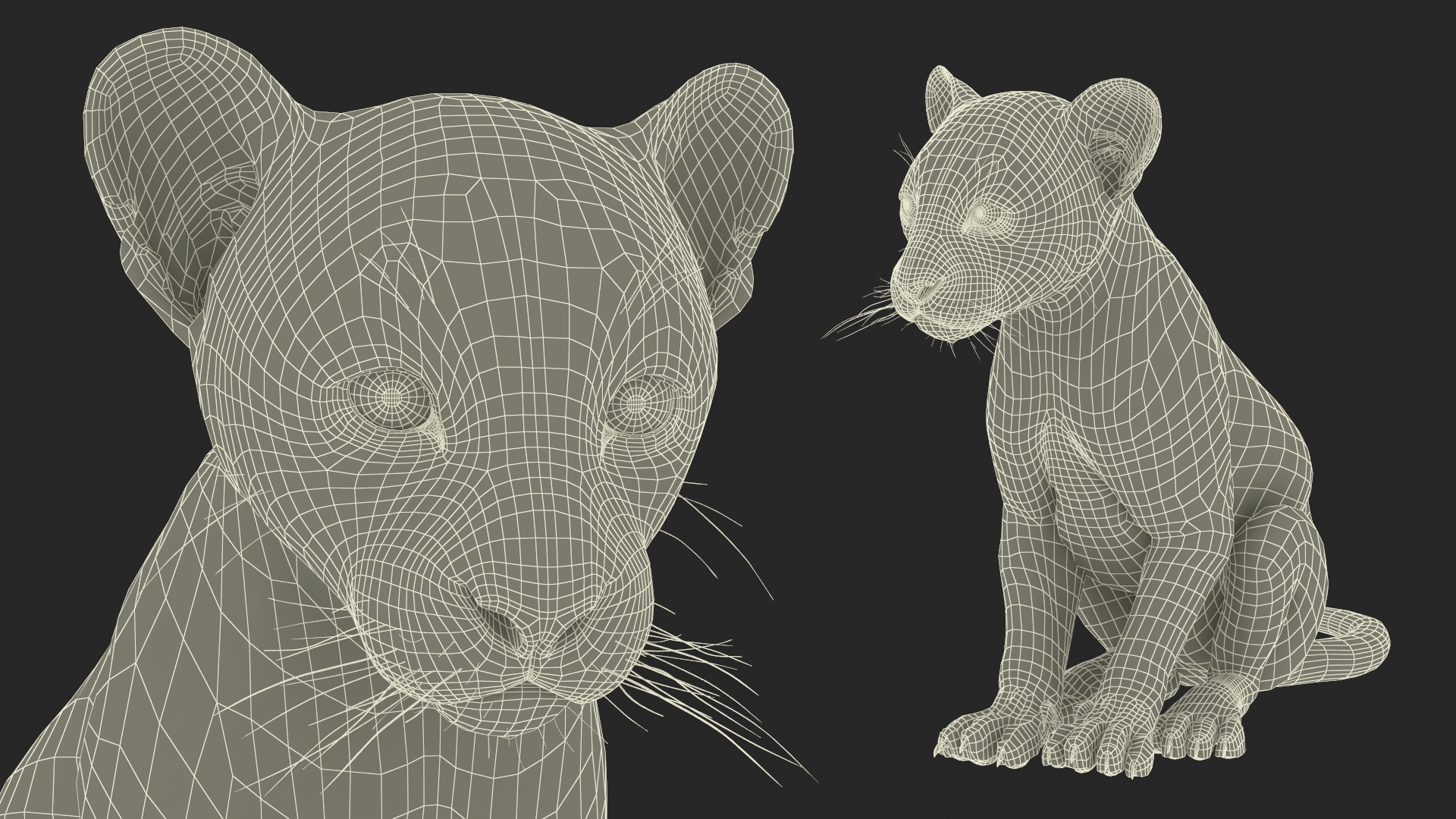 3D model Black Leopard Cub Sitting Pose