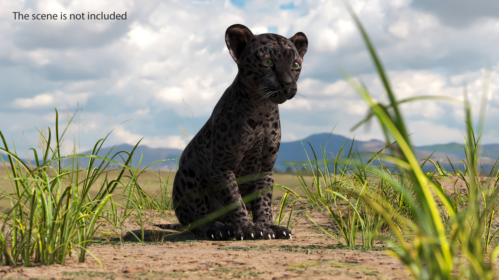 3D model Black Leopard Cub Sitting Pose