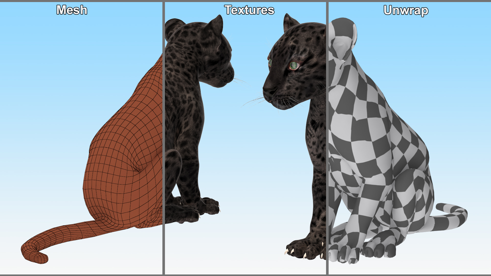 3D model Black Leopard Cub Sitting Pose