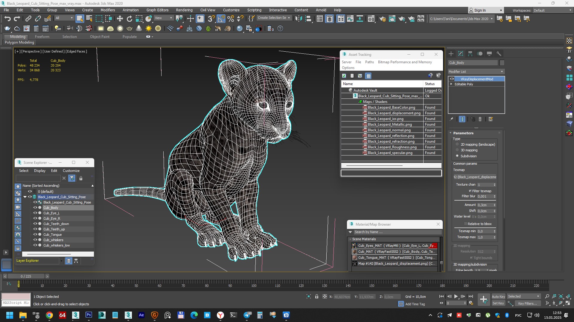 3D model Black Leopard Cub Sitting Pose