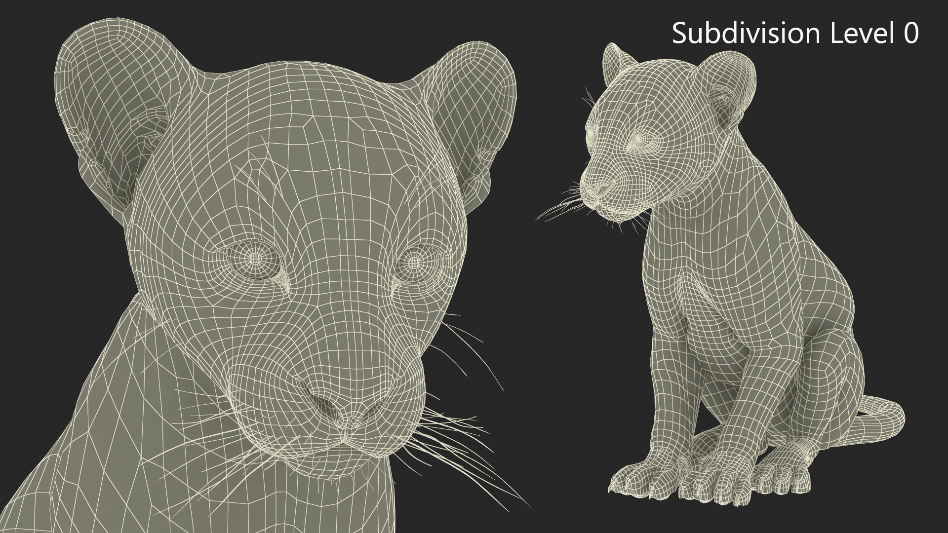 3D model Black Leopard Cub Sitting Pose