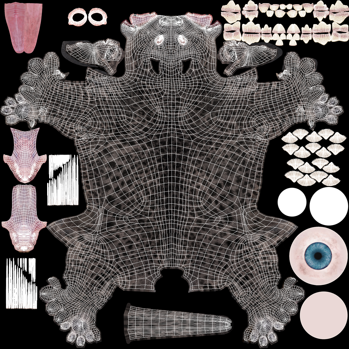 3D model Black Leopard Cub Sitting Pose
