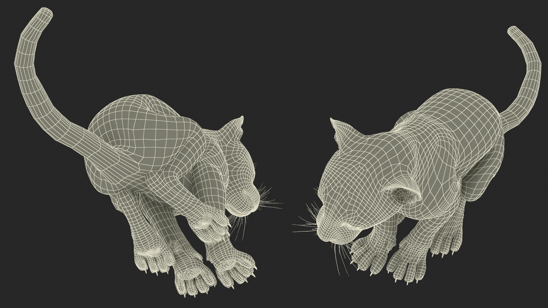 3D model Black Leopard Cub Sitting Pose