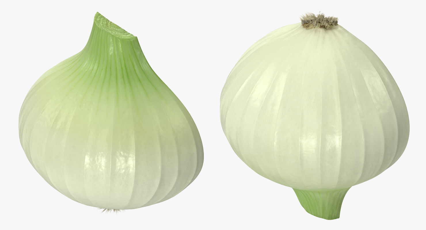 3D model Half Onion