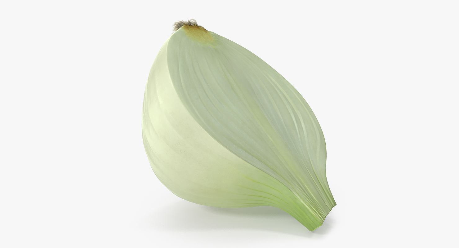 3D model Half Onion