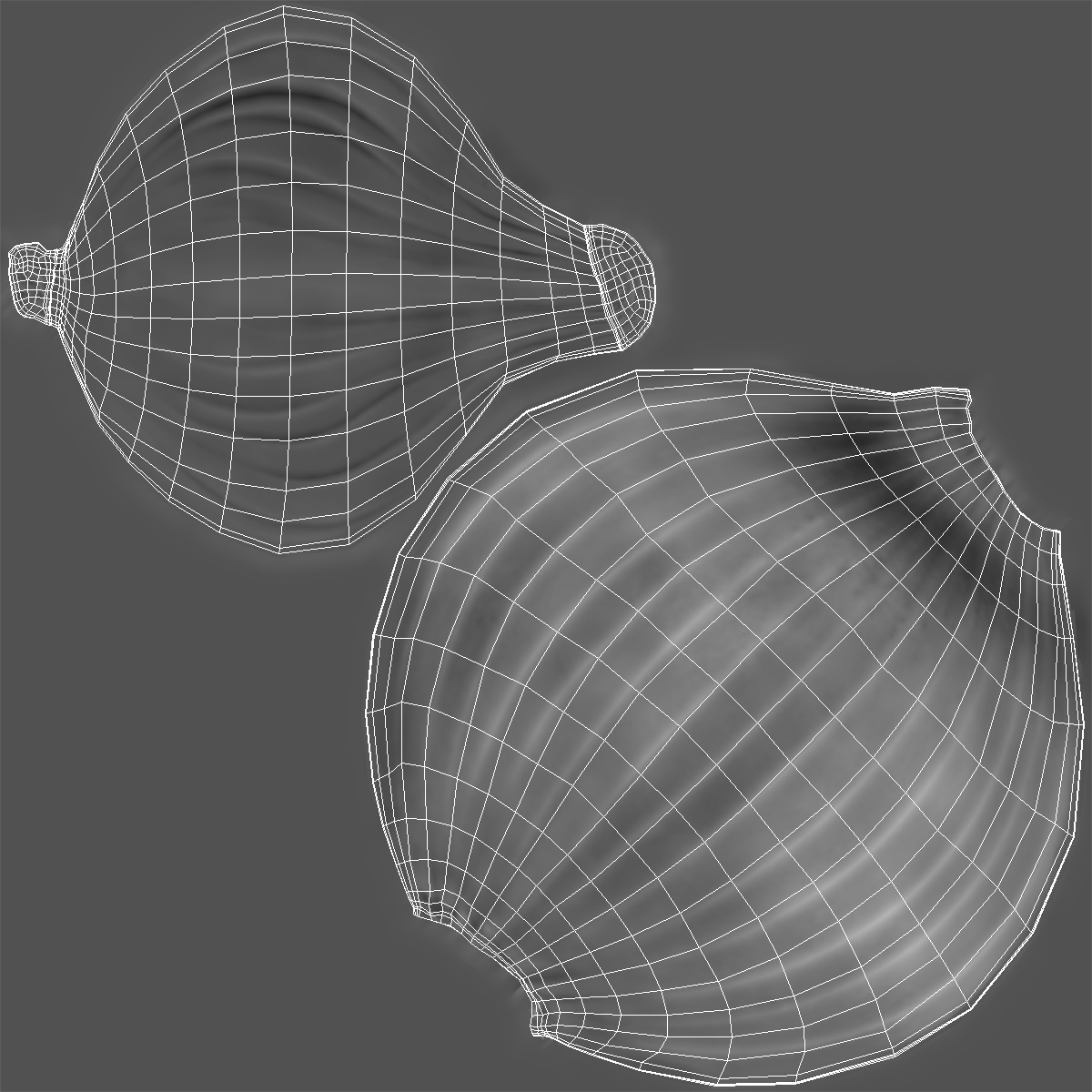 3D model Half Onion