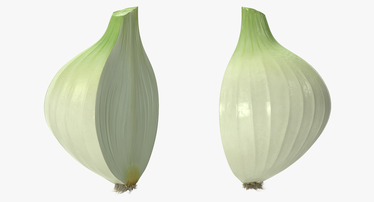 3D model Half Onion