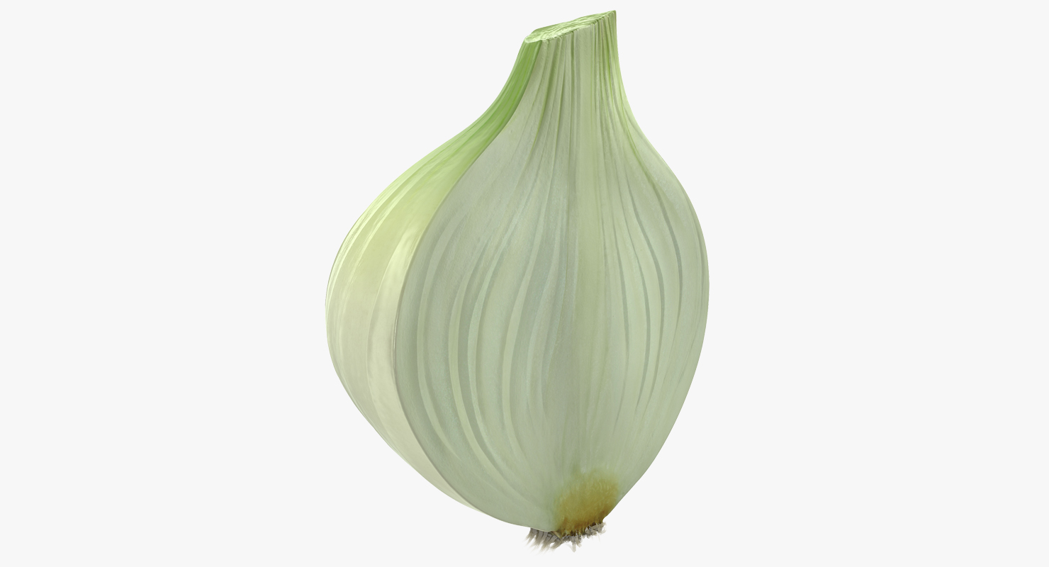 3D model Half Onion