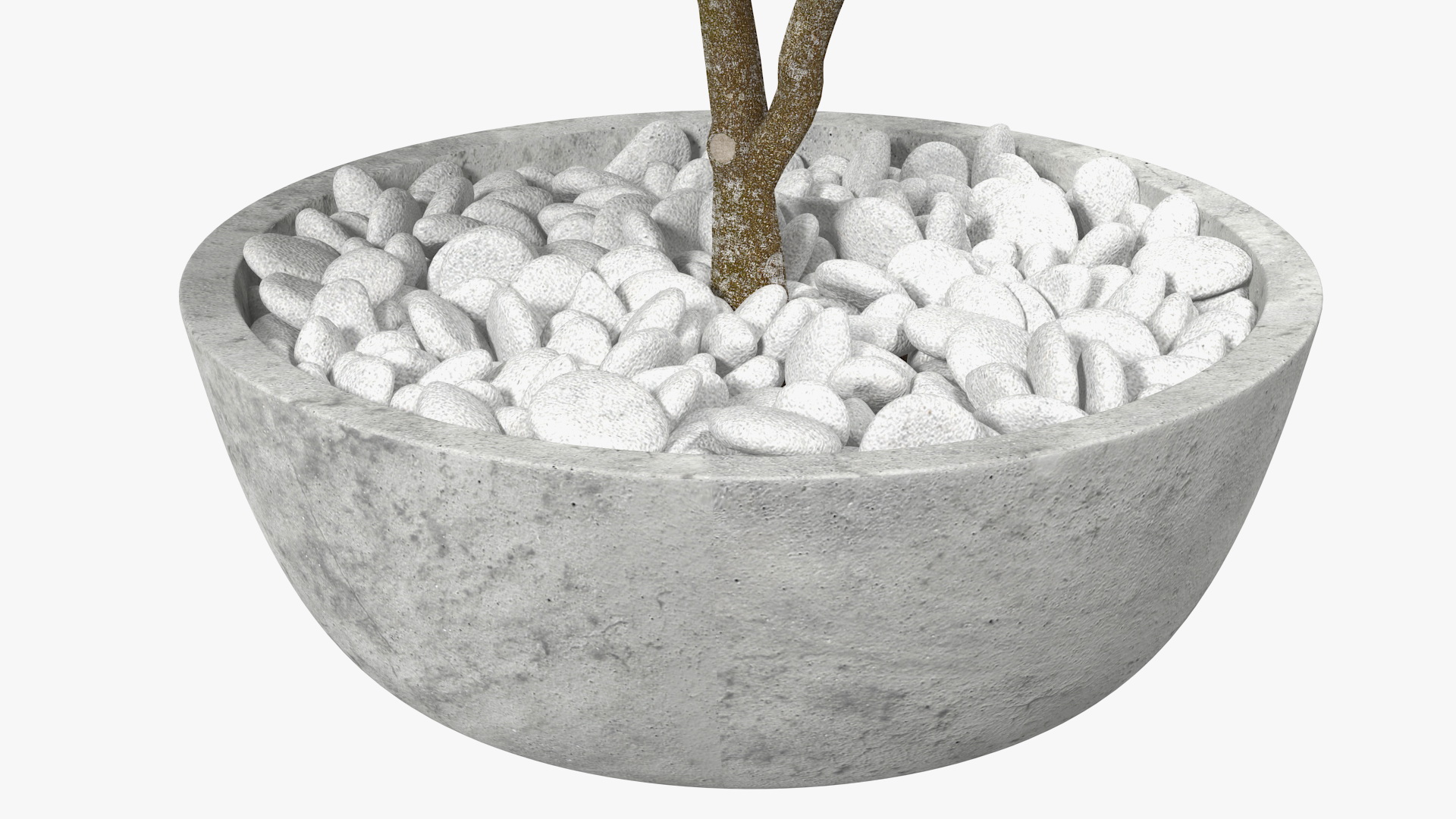Flower Pot Plumeria 3D model