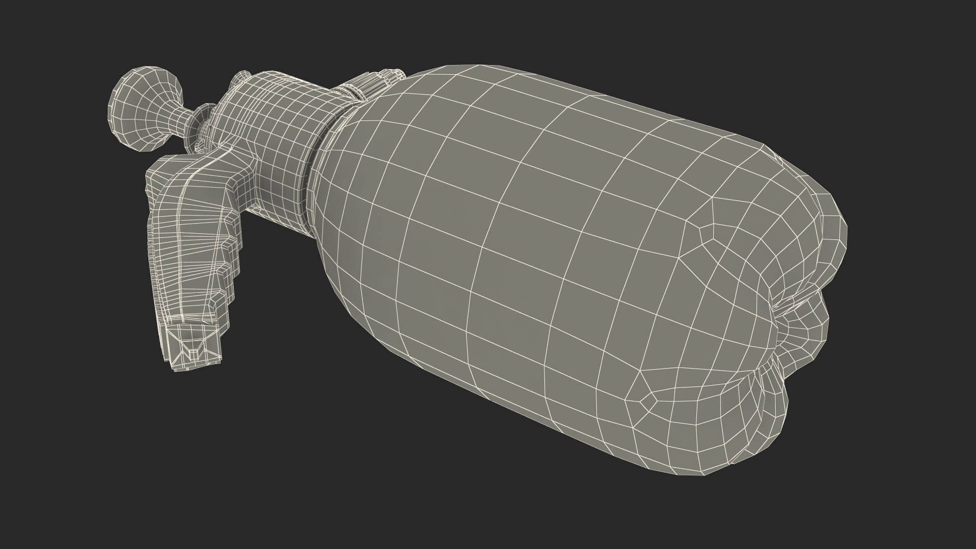Hand Held Garden Sprayer 3D model