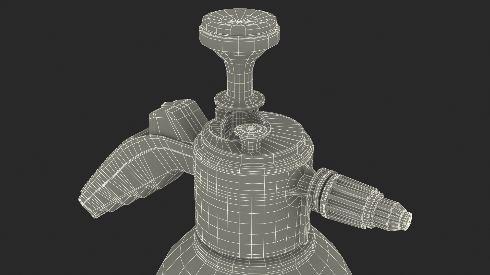 Hand Held Garden Sprayer 3D model