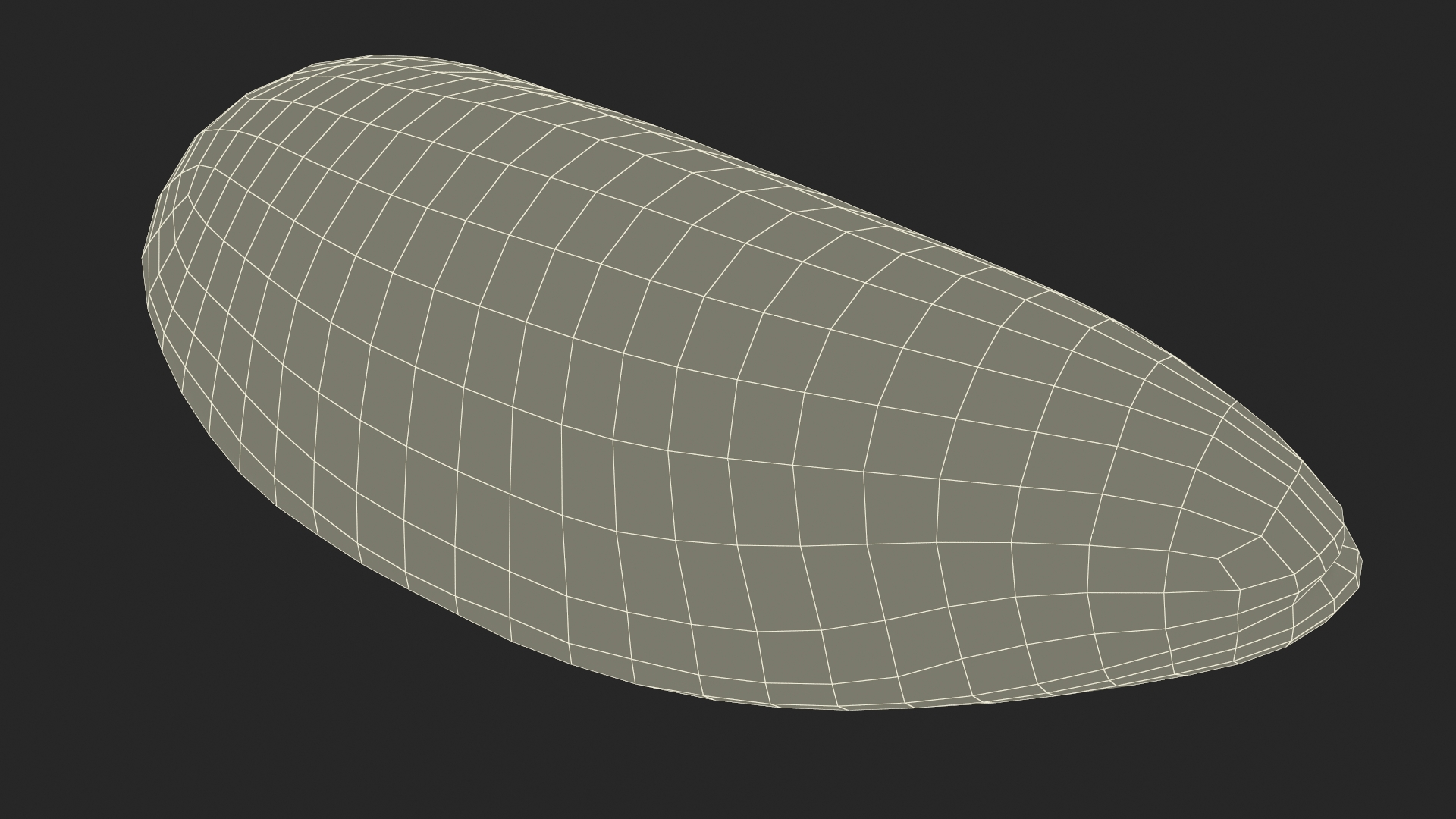 3D Green Lipped Clam Shell model