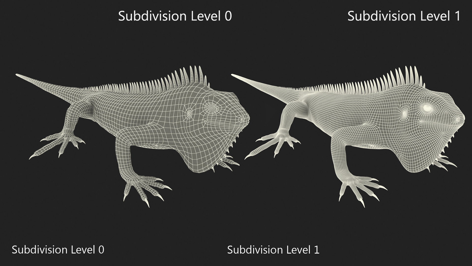 3D model Iguana Reptile Creature Rigged