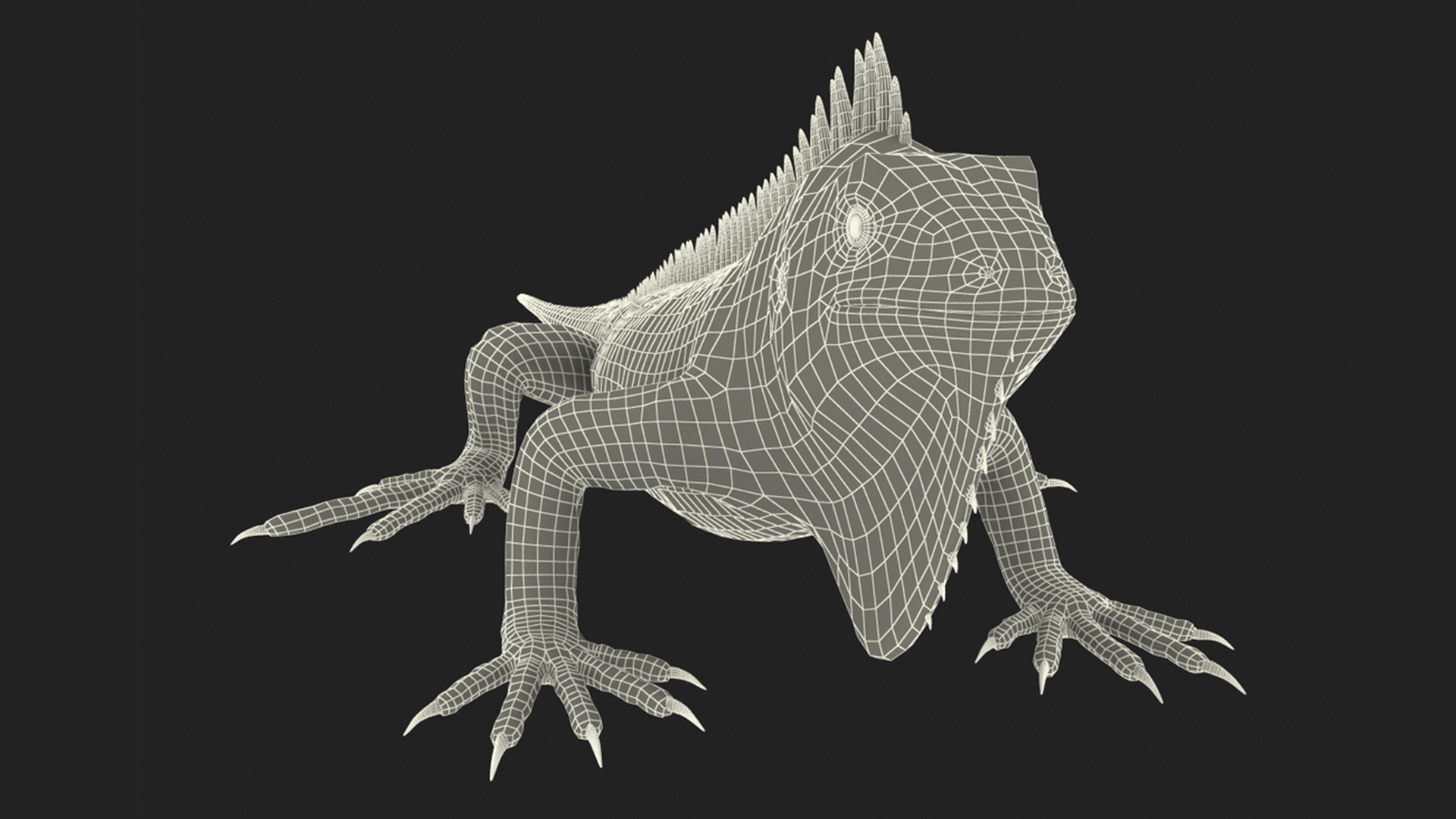 3D model Iguana Reptile Creature Rigged