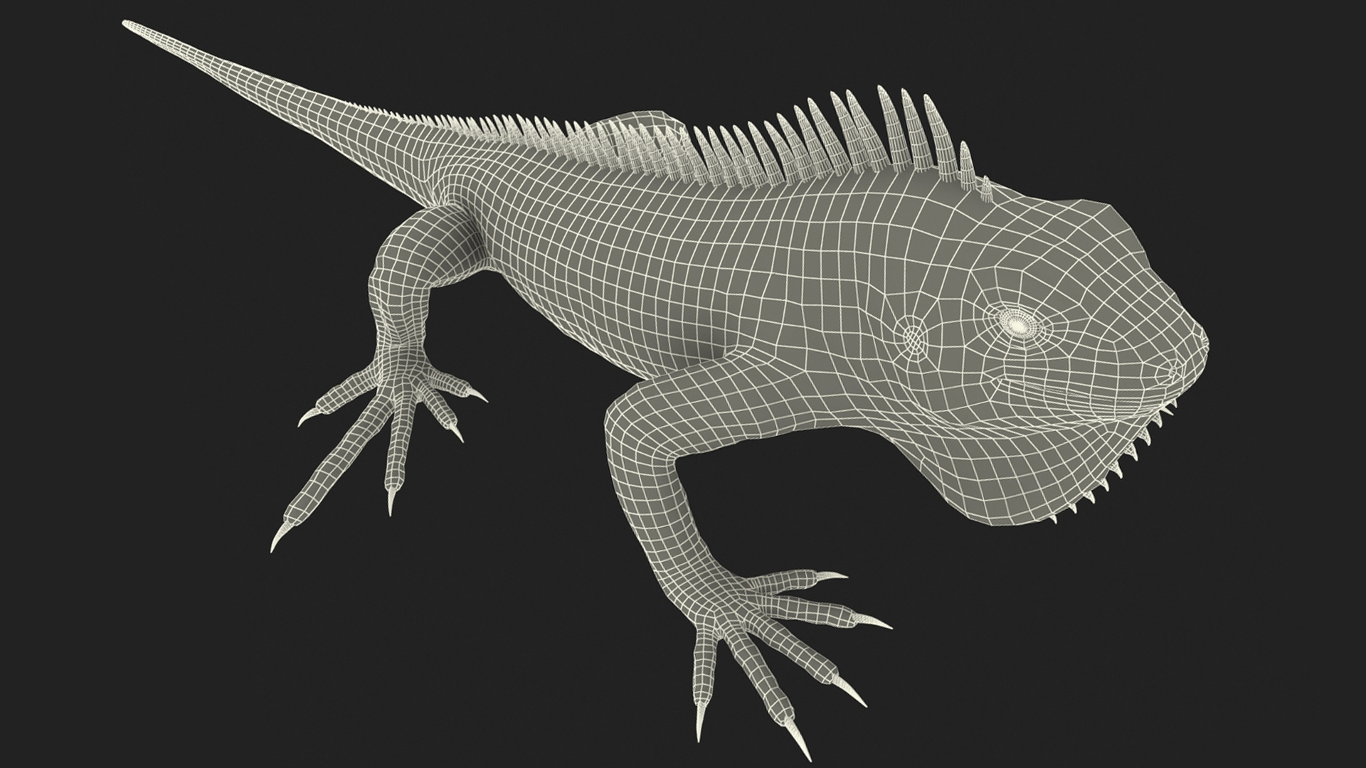 3D model Iguana Reptile Creature Rigged