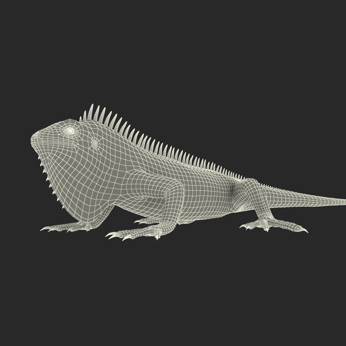 3D model Iguana Reptile Creature Rigged