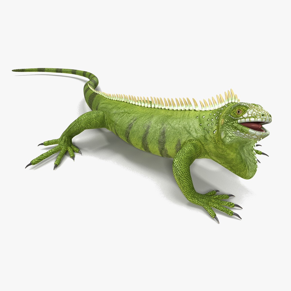 3D model Iguana Reptile Creature Rigged