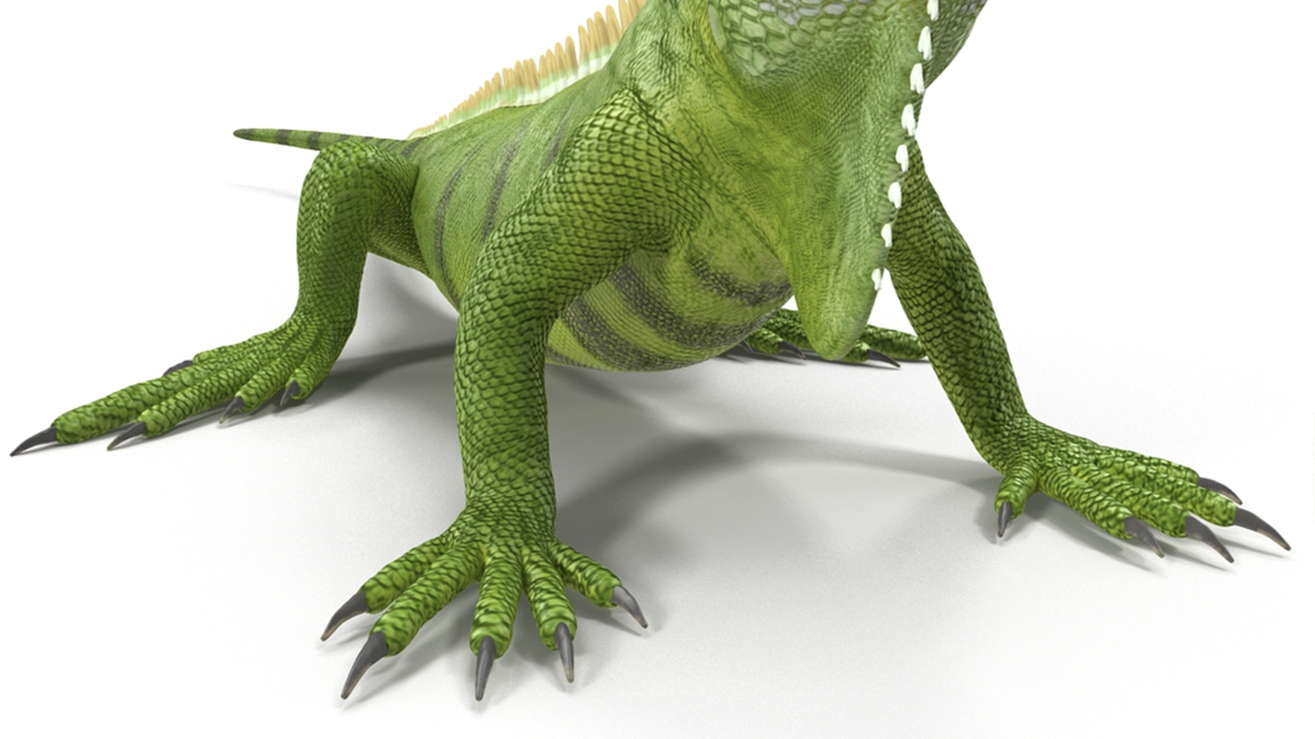 3D model Iguana Reptile Creature Rigged
