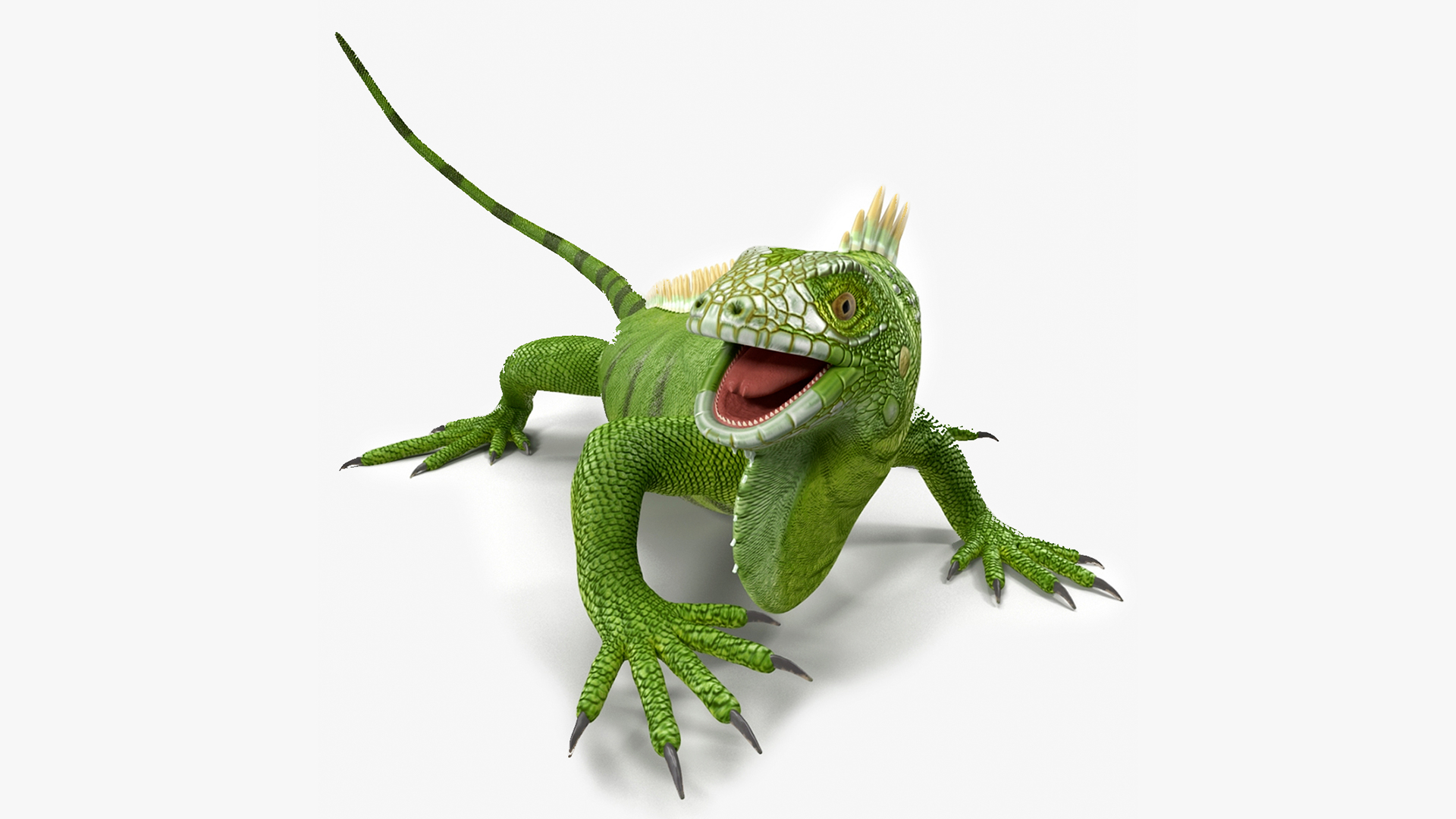 3D model Iguana Reptile Creature Rigged