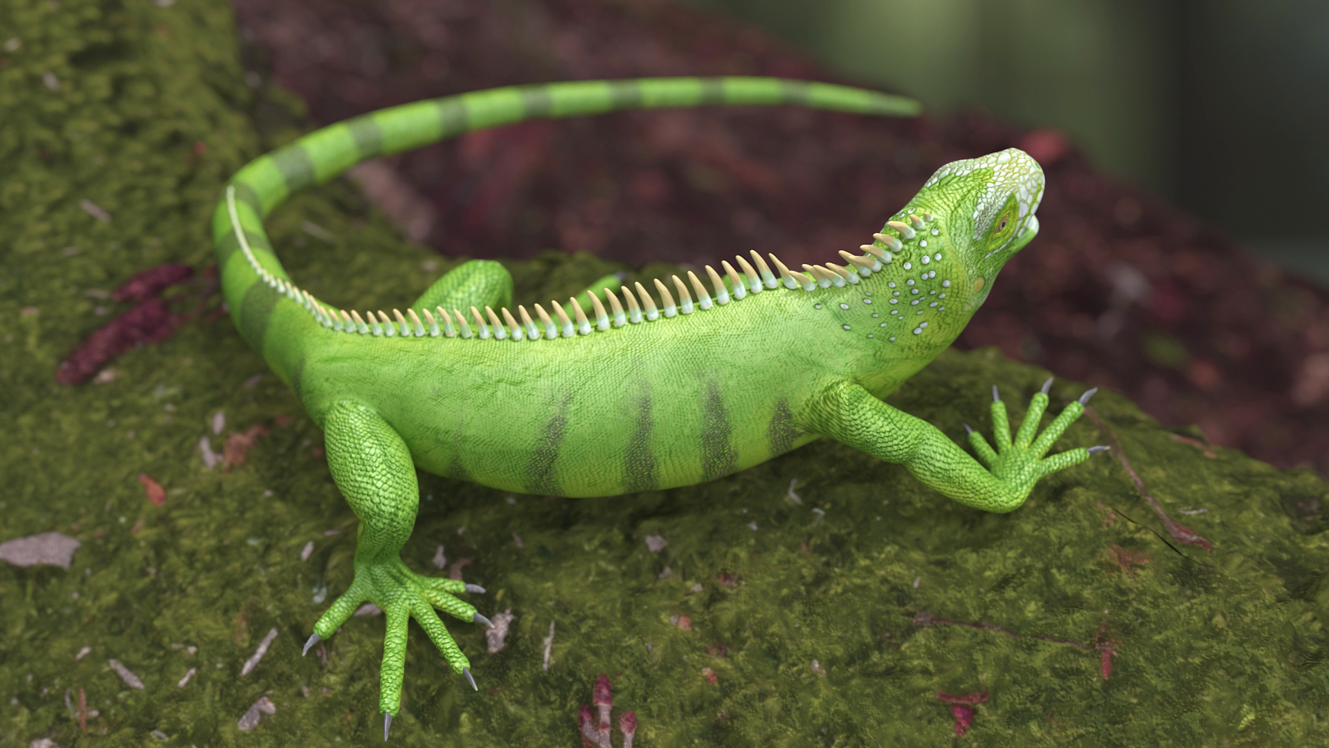 3D model Iguana Reptile Creature Rigged
