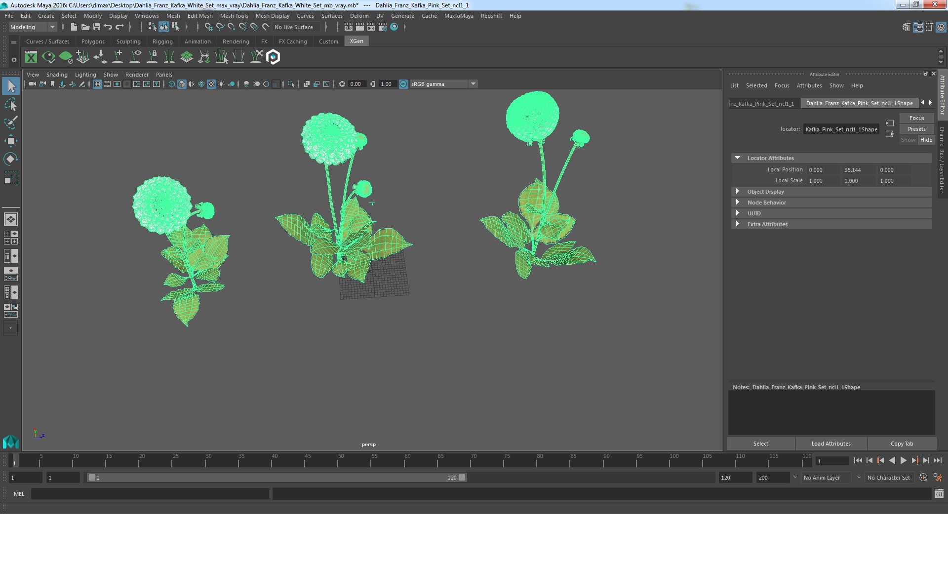3D Dahlia Franz Kafka White Set model